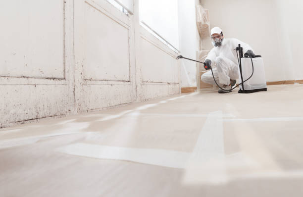 24/7 Emergency Attic Mold Removal experts in Burlington, CO